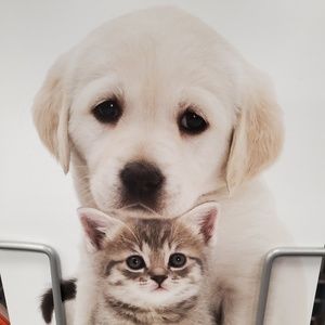 Meet your Posher, Charmaine